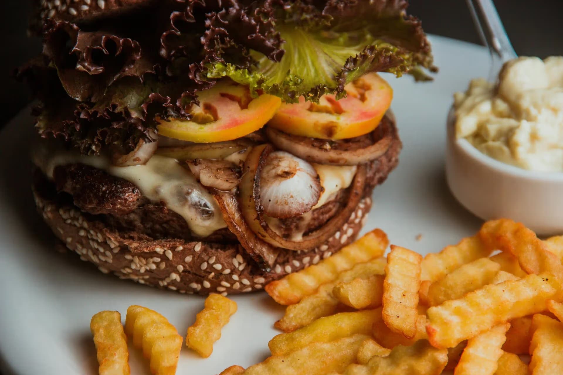 Welkom bij Snackyz
